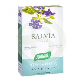 Plantas Fit Salvia 40 Cápsulas Santiveri