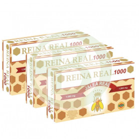 Pack 3x2 Reina Real 1000 Robis