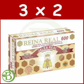 Pack 3x2 Reina Real 600 Robis