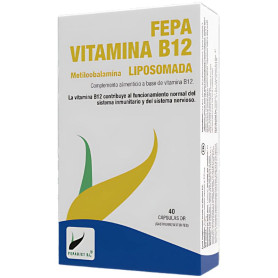 Fepa Vitamina B12 Liposomada 40 Capsulas Fepadiet