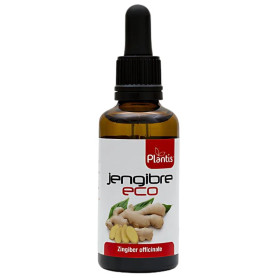 Extracto De Jengibre Eco 50Ml Plantis